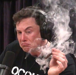 Meet your Posher, Owen